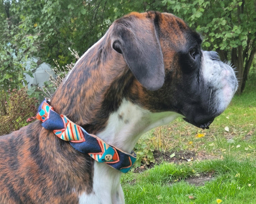 Blijf blij – Leren hondenhalsband met zeefdruk Buckskin